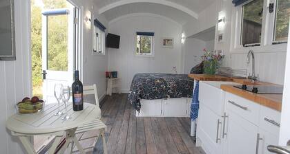 Relax & Recharge: Woodland Hideaway Shepherds Hut and Hot tub !