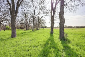 House (3 Bedrooms) | Interior - Riverside Texas Retreat w/ Wraparound Porch! (Thorndale)