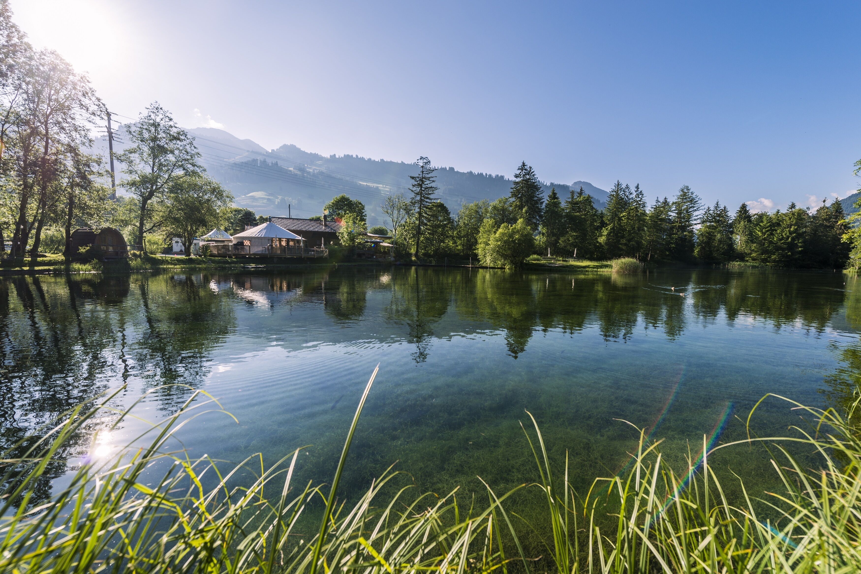 A serene lakeside setting with clear water reflecting the surrounding trees and a distant mountain range.
