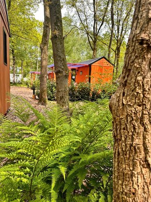 Property grounds - De Sluus in de Natuur (Zuidwolde)