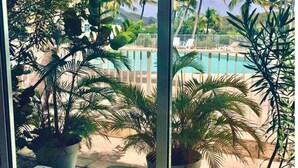 Vista della piscina con palme e cielo sereno.