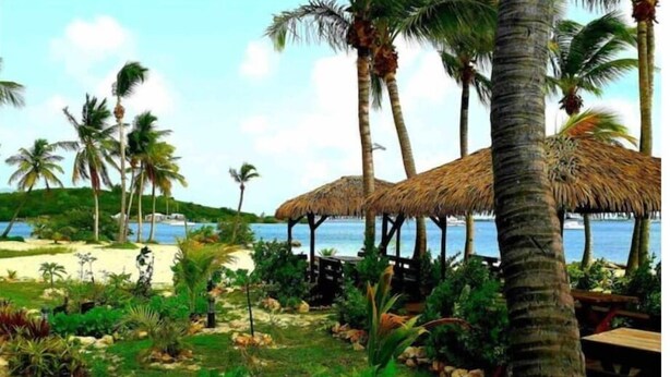 Una spiaggia con palme, una struttura a tetto di paglia e una zona sabbiosa.
