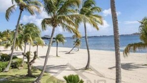 Una spiaggia con palme e vista libera sull'oceano.