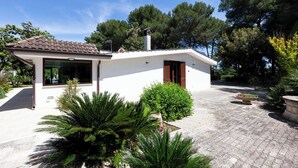 Uklassifisert bilde, 5 av 37, knapp