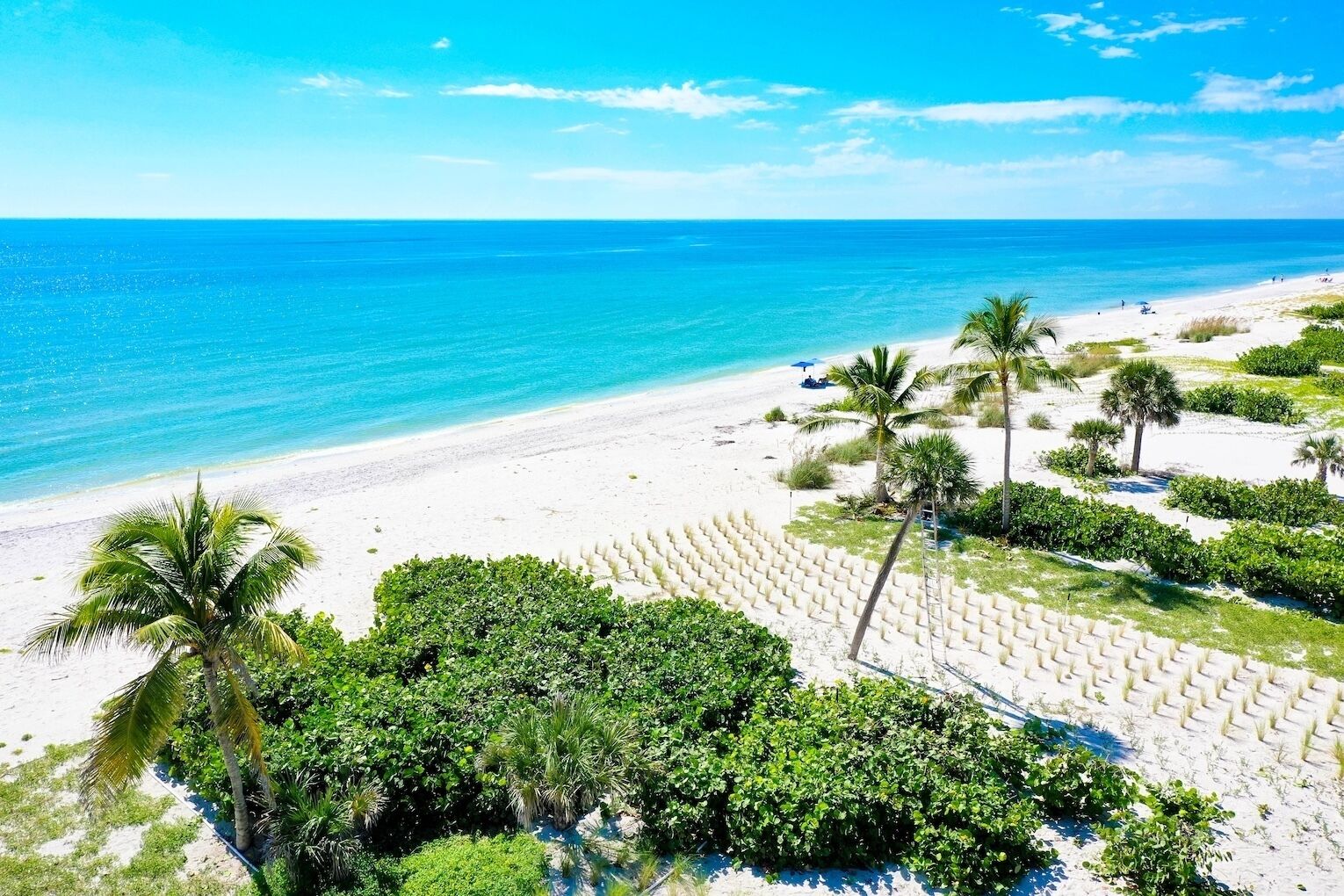 Une plage de sable blanc, bordée de palmiers, avec une mer d’un bleu limpide.