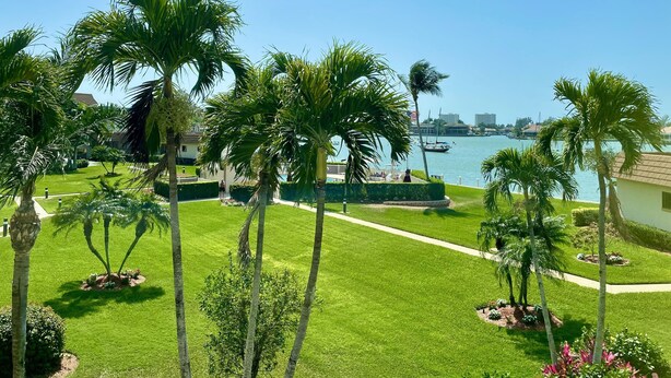 A well-maintained lawn with palm trees, a pathway, and a view of a marina with boats. - Great view, great location, piece of paradise......just perfect!   (Marco Island)