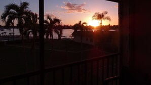 A sunset view from a window overlooking a body of water, palm trees, and a building. - Great view, great location, piece of paradise......just perfect!   (Marco Island)