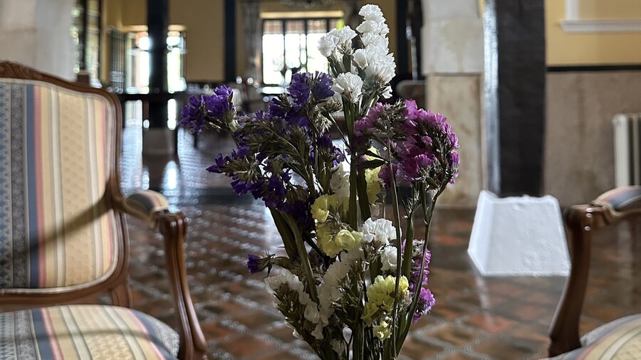 Hotel Palacio La Casona de Cerrazo