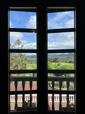 View from property - Hotel Palacio La Casona de Cerrazo (Reocin)