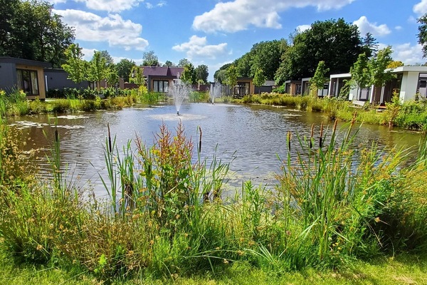 Vijver