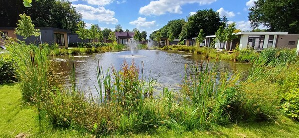 Property grounds - TOP Luxe chalet - kindvriendelijk - bos en heide (Harderwijk)