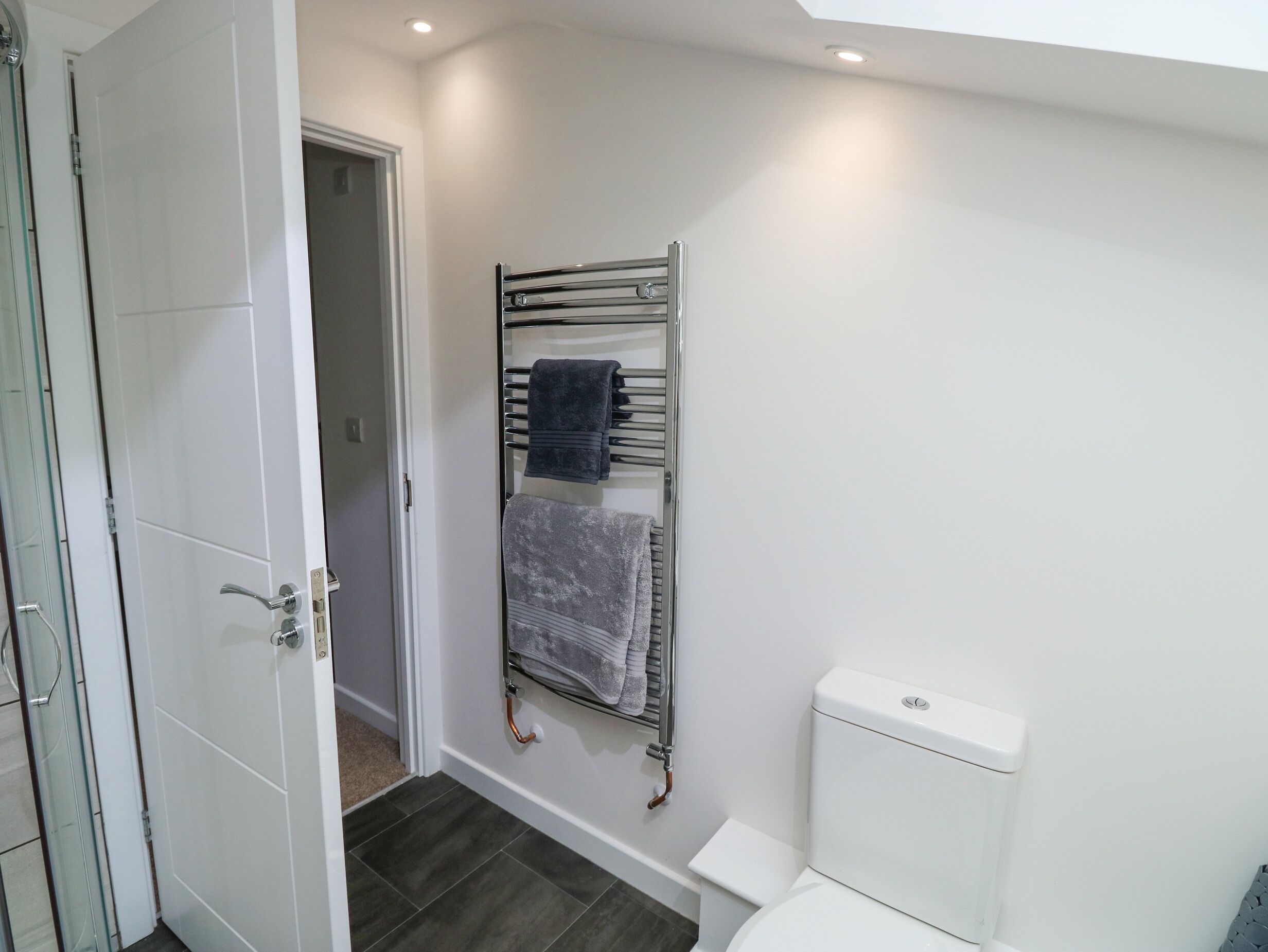 A bathroom with a white toilet, a towel rack with two towels, and a glass shower door.