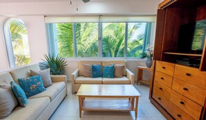 Smart TV, DVD player, books - Upscale beautiful beachfront villa with pool, AC and WiFi! (Akumal)