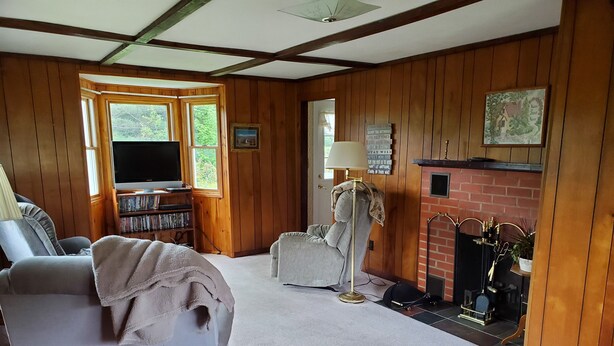 Un salon chaleureux avec des murs en bois, une cheminée, un canapé, un fauteuil et une bibliothèque.