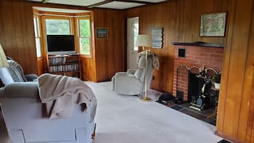 TV connectée, cheminée, lecteur de DVD, livres