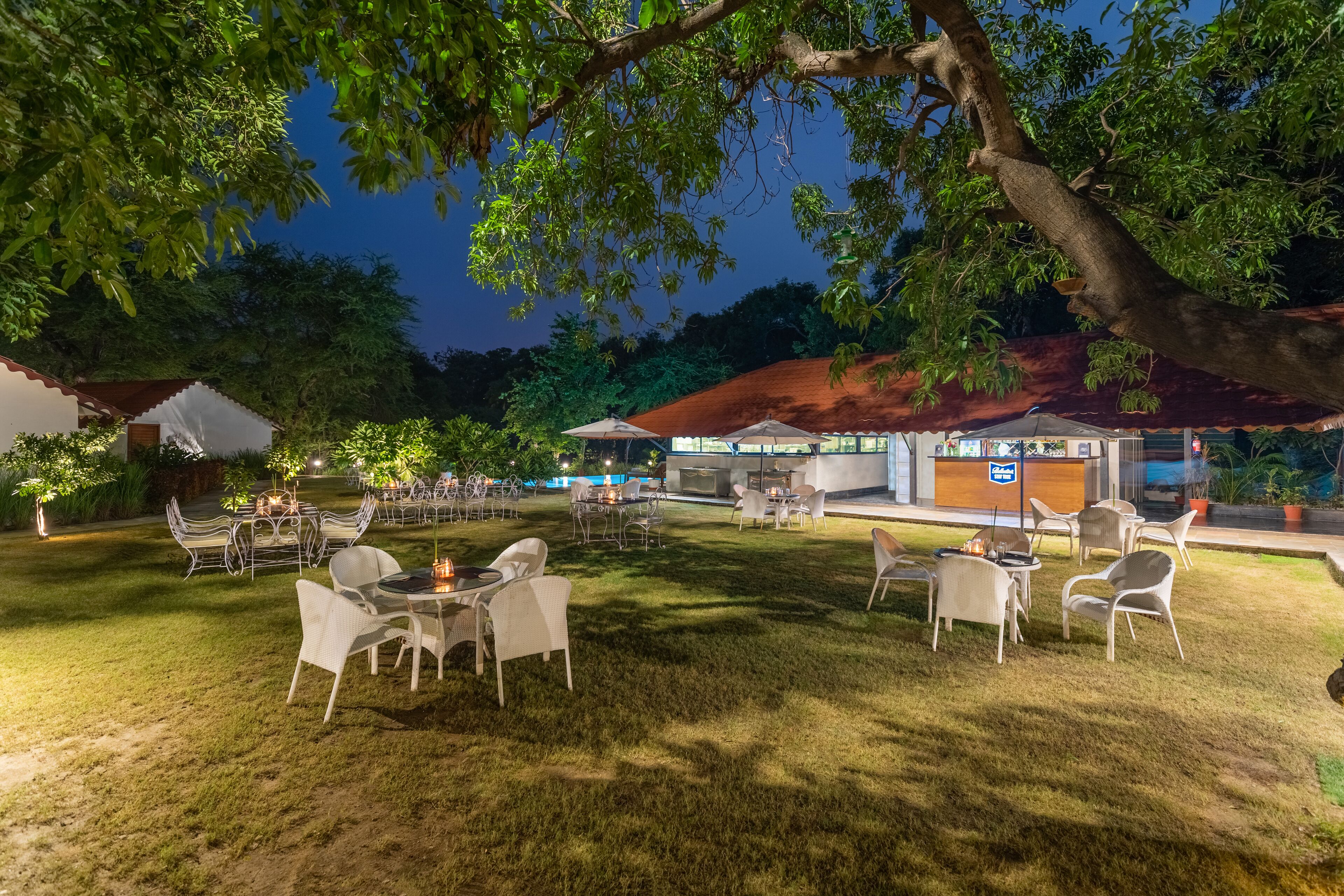 Un área de comedor al aire libre con mesas y sillas bajo un gran árbol, rodeada de follaje.