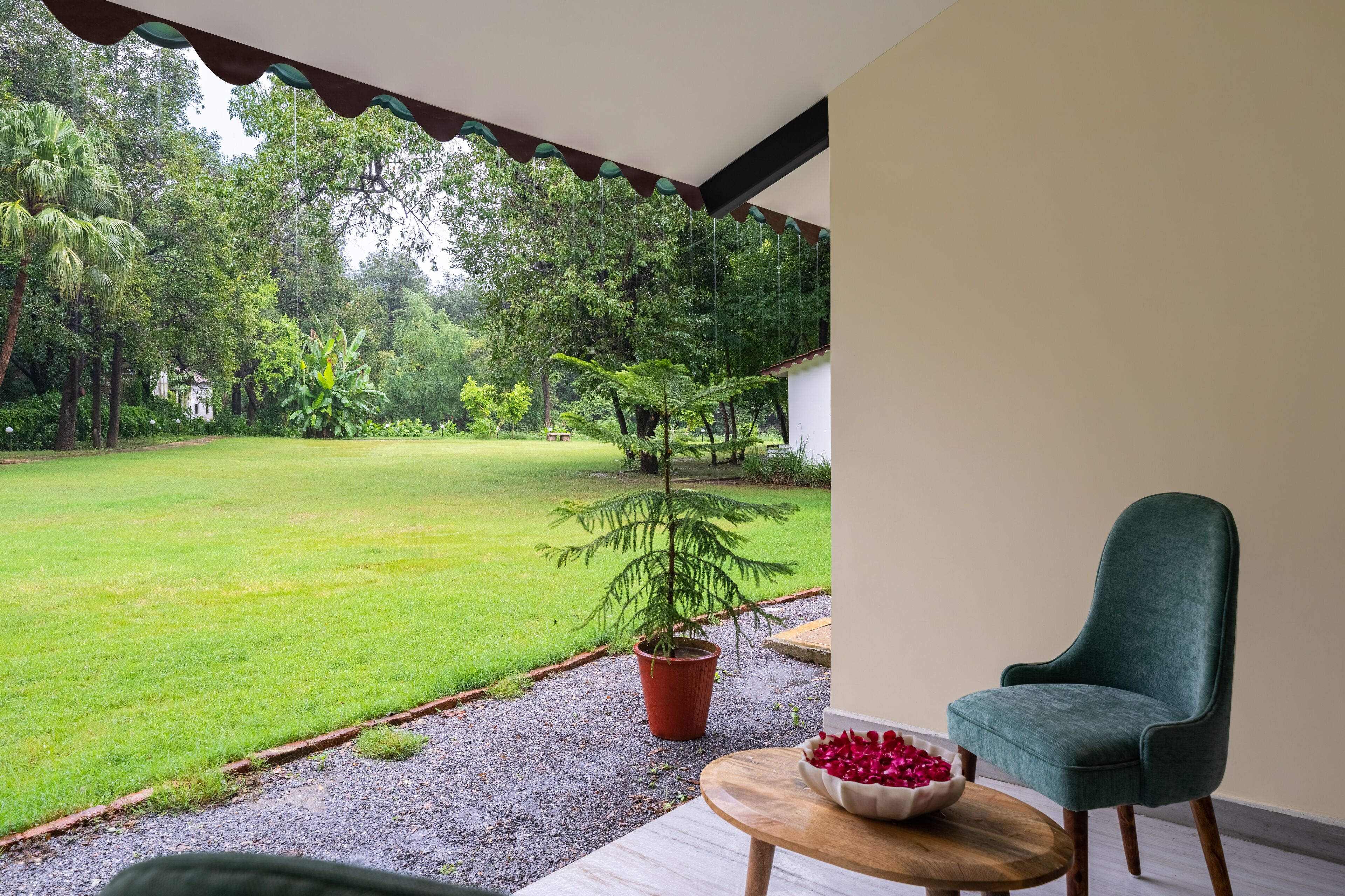 Una habitación con vistas a un jardín cubierto de césped, una planta en maceta, una mesa de madera con un cuenco de flores rojas y un sillón verde.