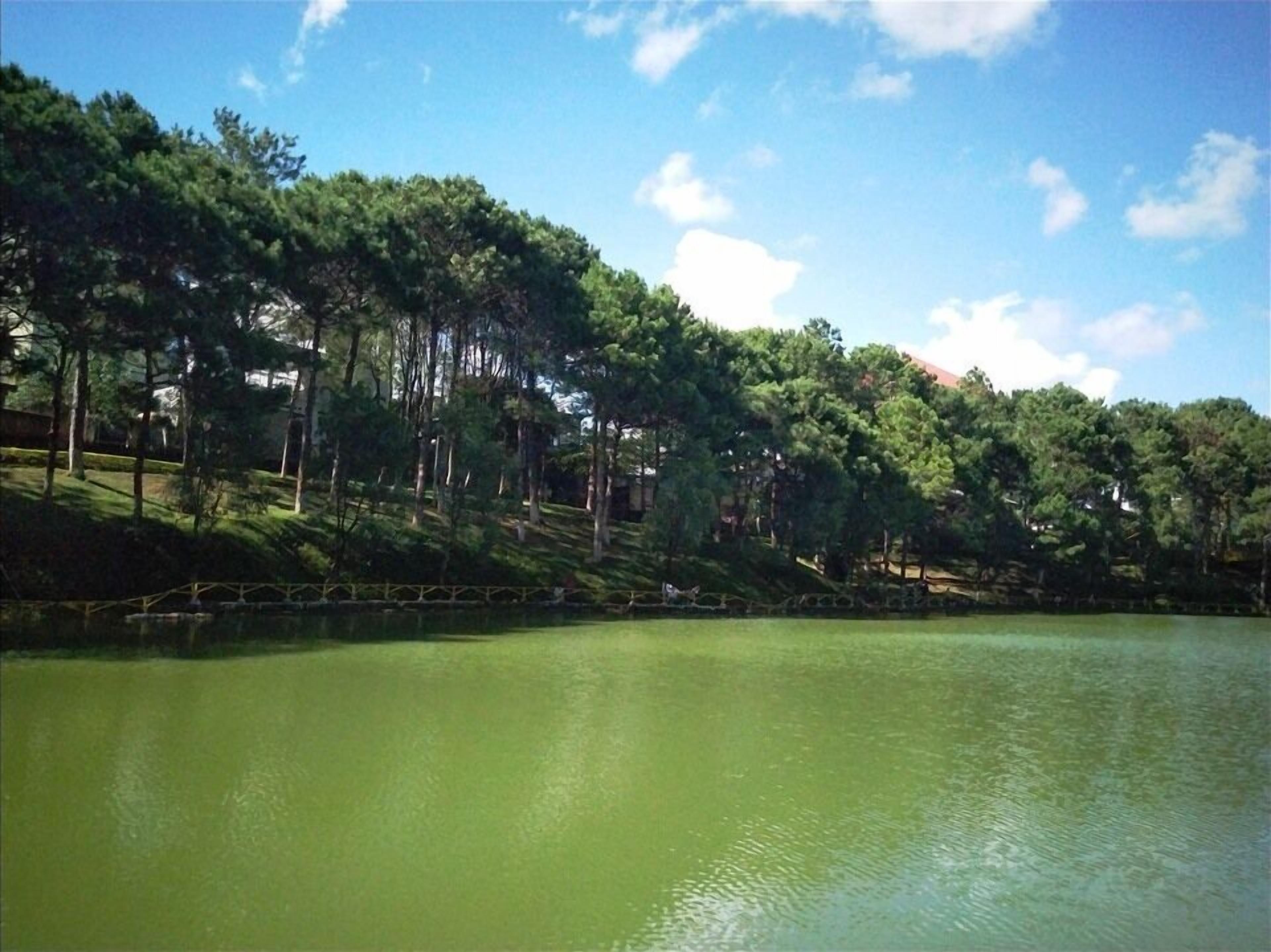 Una vista serena de un lago rodeado de árboles frondosos y un cielo despejado.