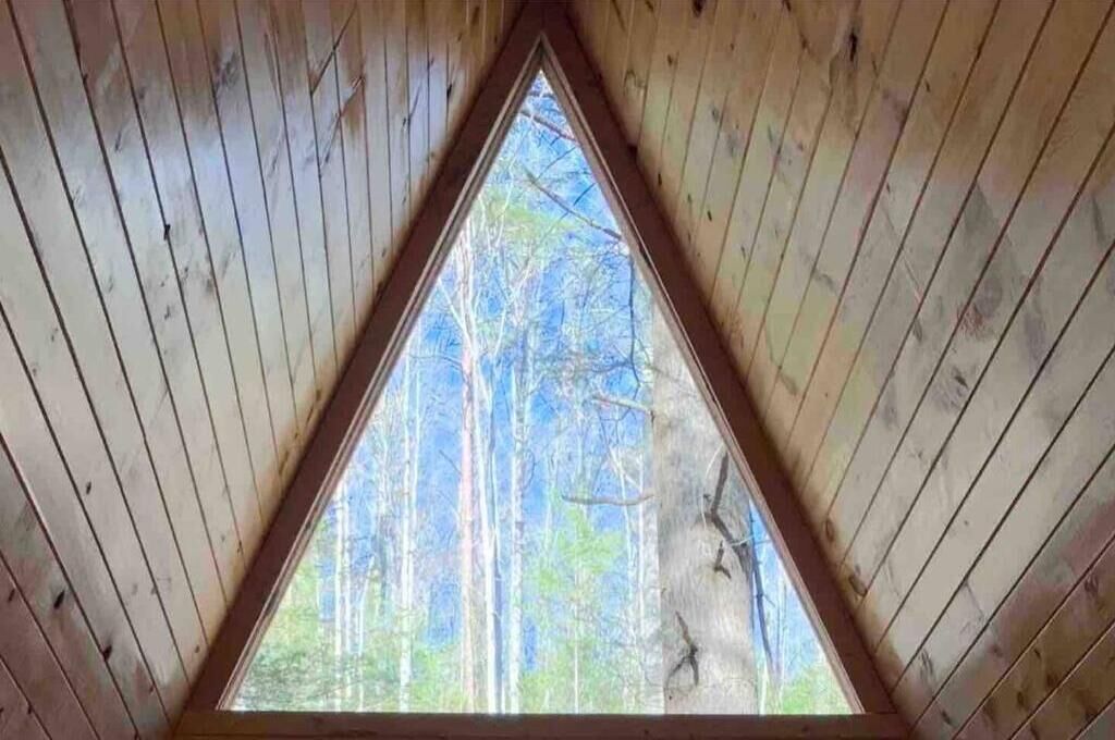 A triangular window with a view of a forest.