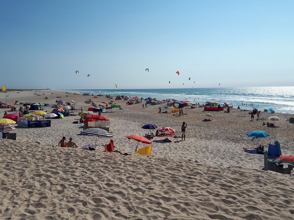 Plage à proximité, chaises longues, serviettes de plage