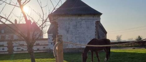 Idromassaggio all'aperto