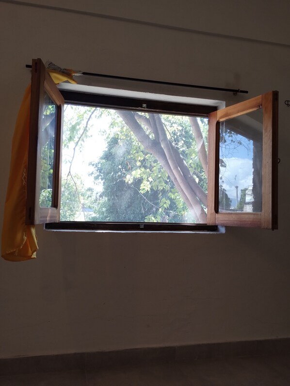 Una ventana con marco de madera, cortinas entreabiertas y vista a árboles desde afuera.