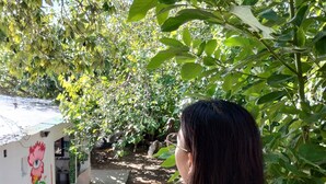 A person standing in a garden with a white building featuring a flower mural. - casa nuestra hostal (Salta)