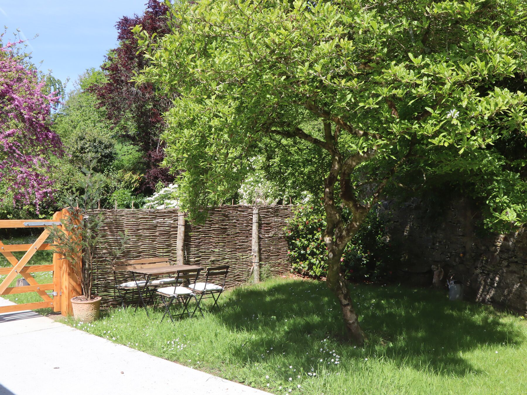 A garden with a wooden table and chairs, a woven fence, and various plants.