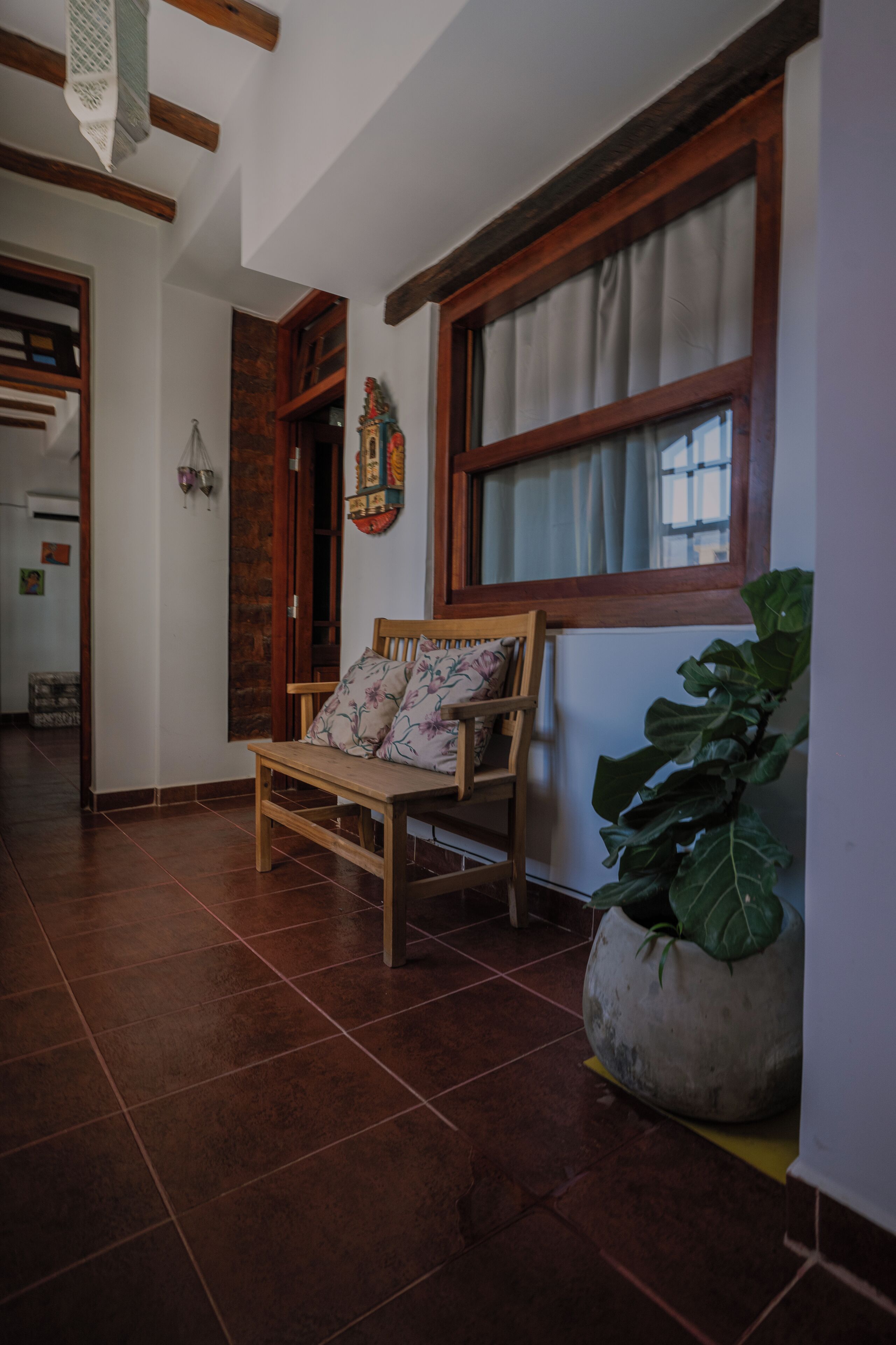 A hallway with a wooden bench, a large potted plant, and a window with curtains.