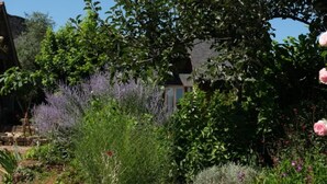 Un jardin avec différentes plantes et fleurs, un mur de pierre et un bâtiment en arrière-plan.