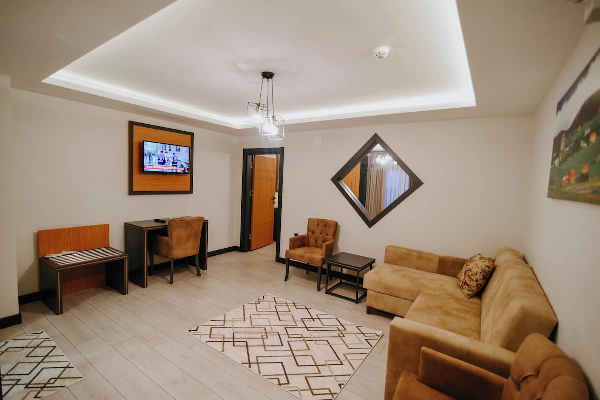 A modern living room with a sofa, armchairs, a coffee table, a TV, and a patterned rug.