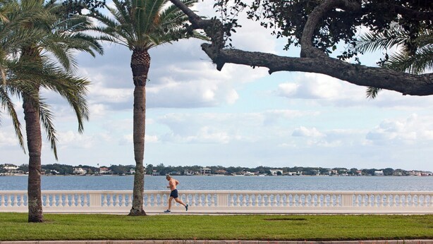 A coastal walkway with palm trees and a view of the sea. - South Tampa! Stay Steps from Bayshore Near MacDill AFB (Tampa)