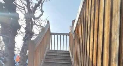 Luisa's Guest Suite, a little penthouse & deck on a 1921 building. Pet friendly.