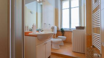 Shower, hair dryer, bidet, towels