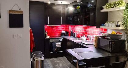 Inviting 2BD Flat 15 Mins From Heart of Dublin!