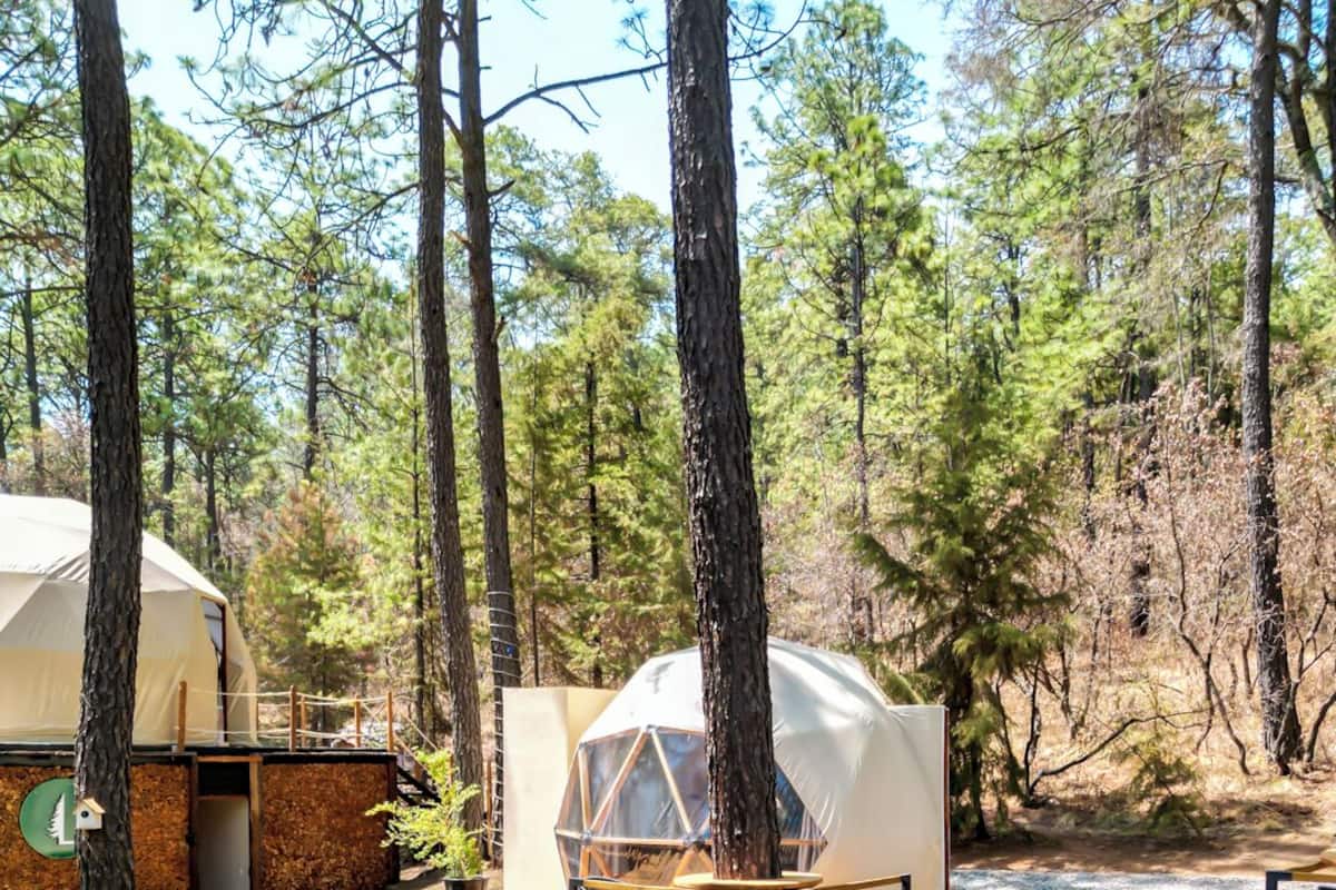 Ein bewaldeter Campingplatz mit zwei Kuppelzelten und einer Holzterrasse.