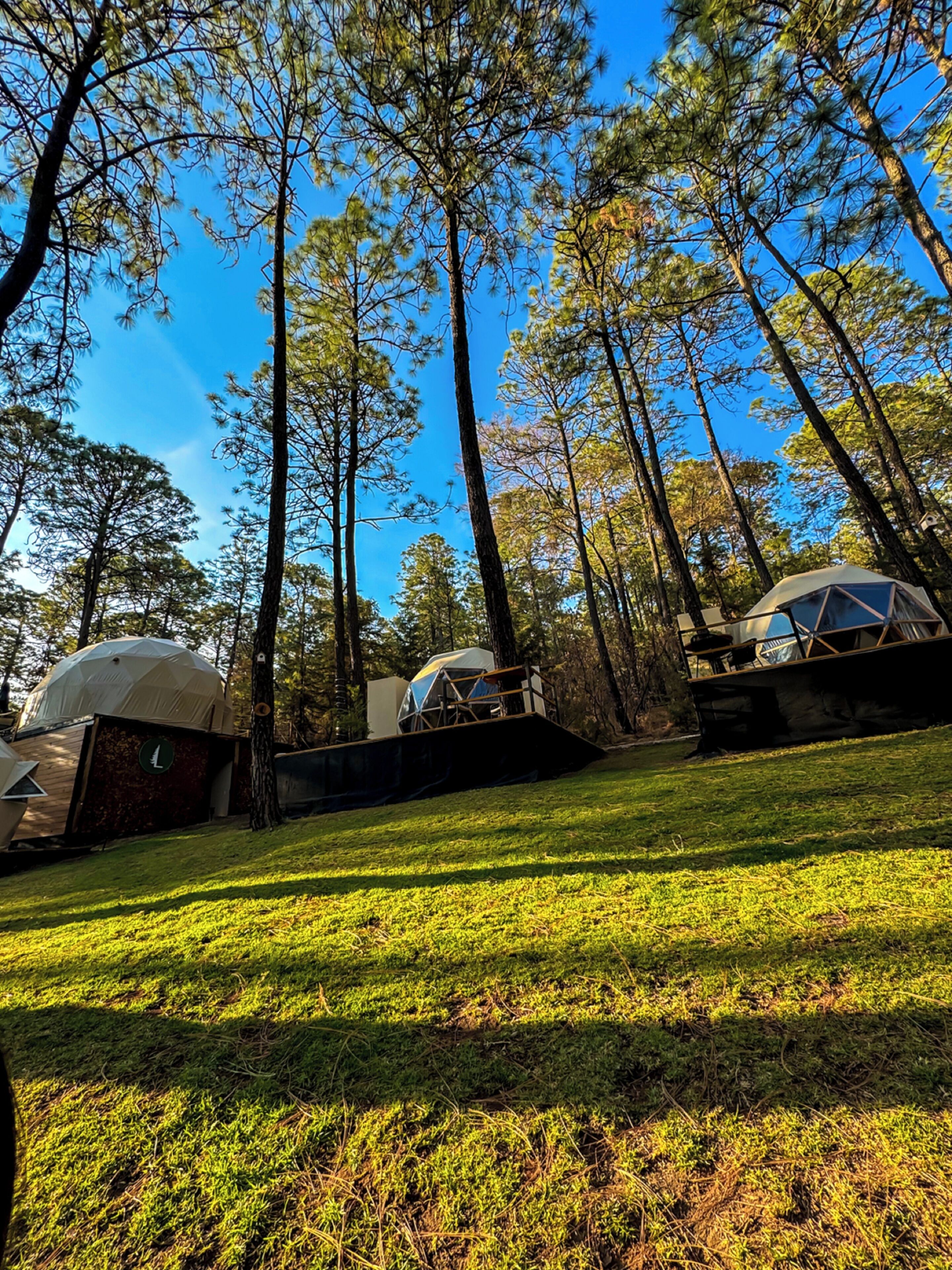 Ein Campingplatz mit kuppelförmigen Zelten und einer Rasenfläche.