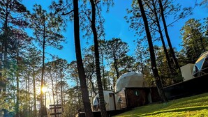 A campsite with tents and a large dome structure, surrounded by trees and a grassy area. - Luahara Glamping Tapalpa – Domo Natural Experience (Tapalpa)