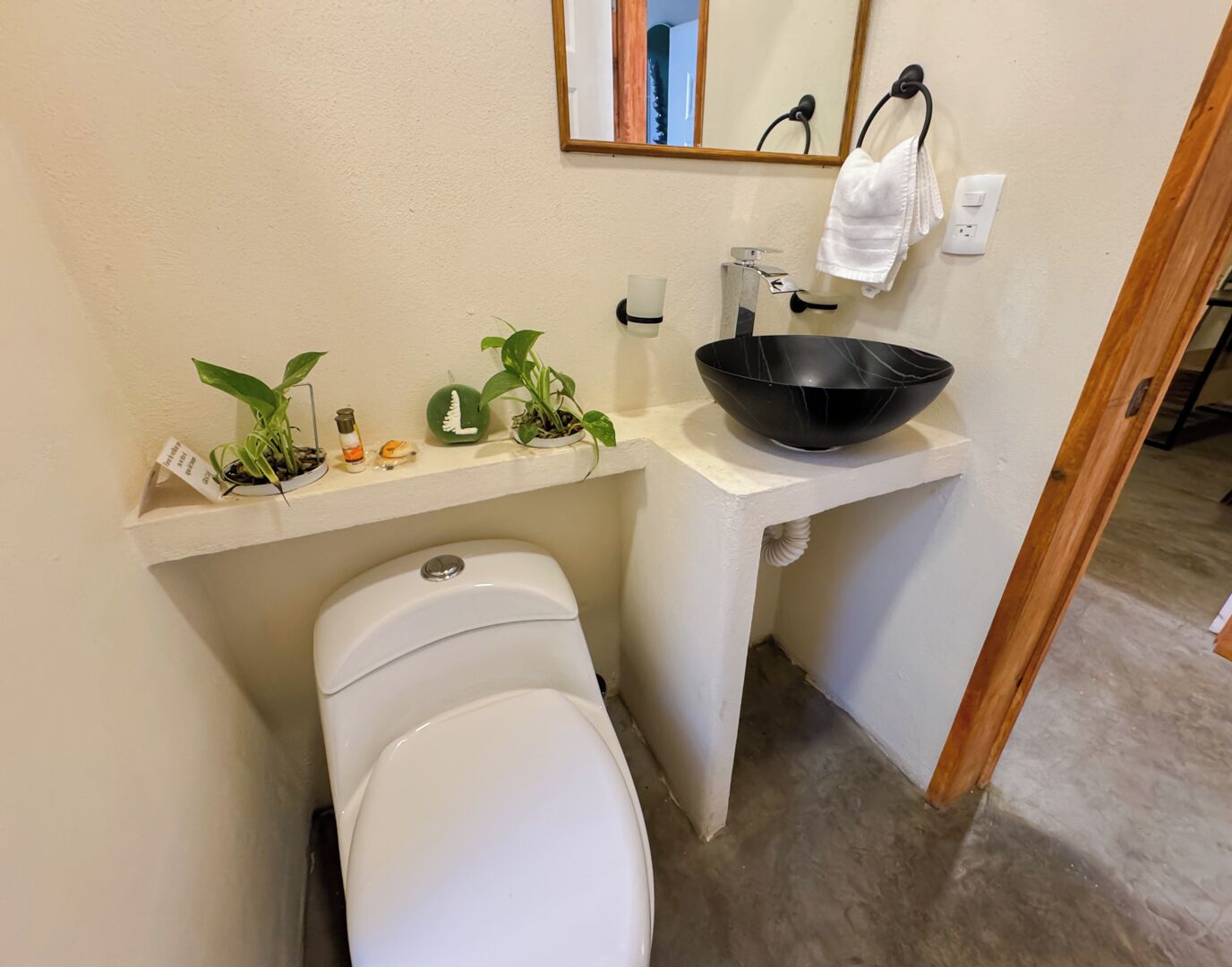 A compact bathroom with a toilet, a sink with a black basin, and a shelf with plants and toiletries.