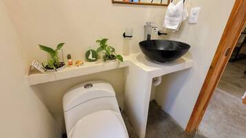 A compact bathroom with a toilet, a sink with a black basin, and a shelf with plants and toiletries.