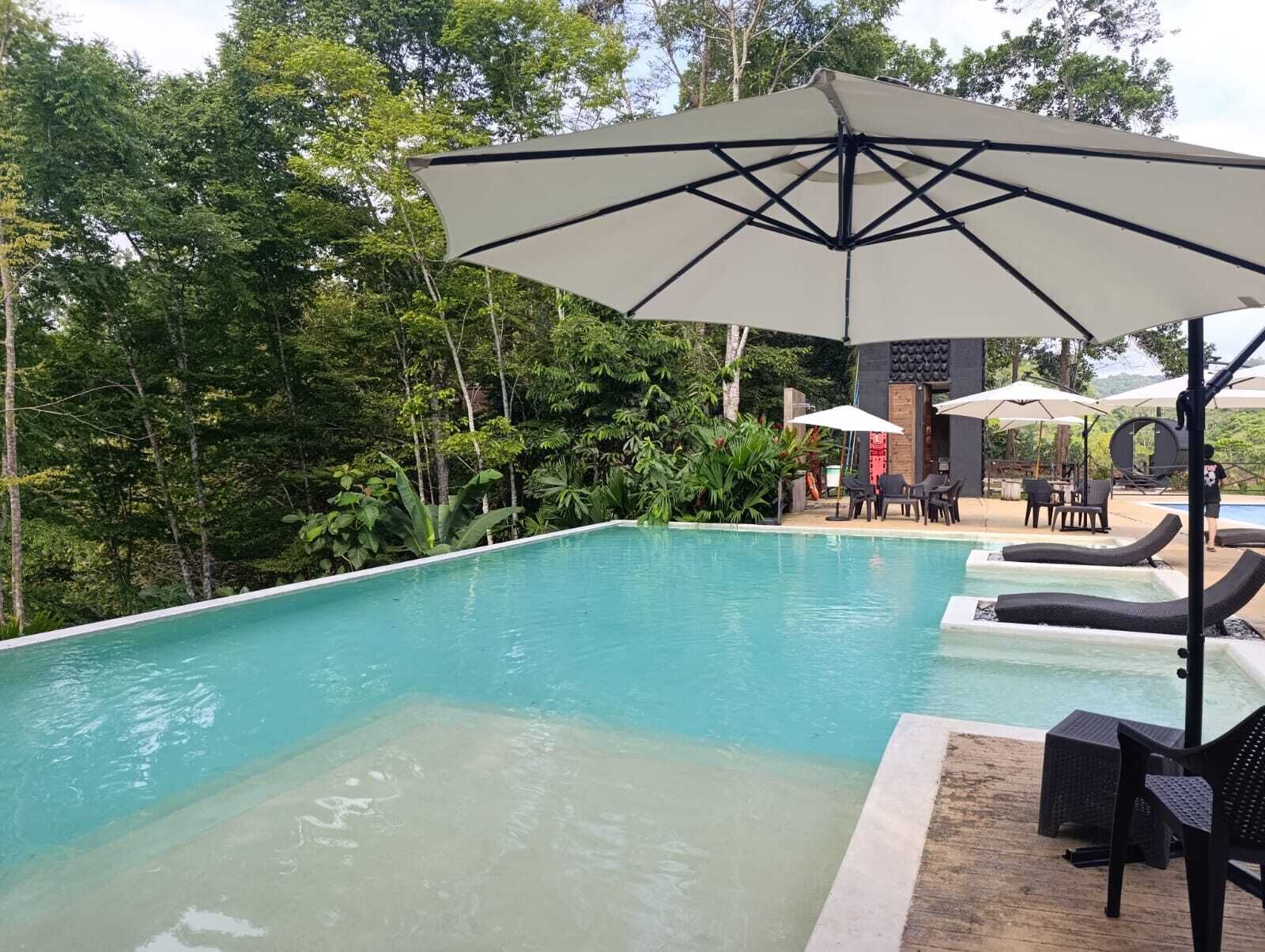 Ein Pool mit Liegestühlen und Sonnenschirmen, umgeben von üppiger Vegetation.