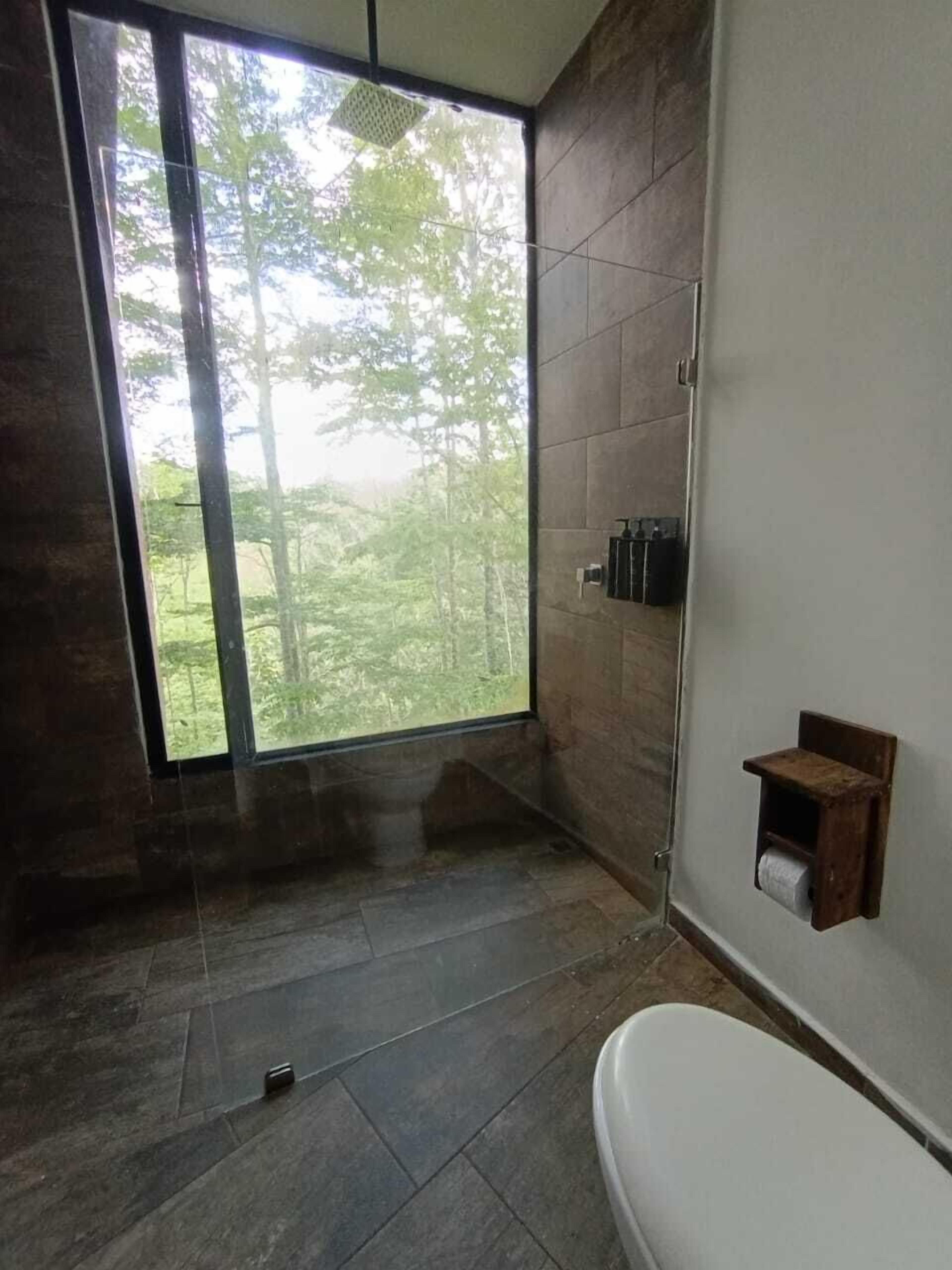 A bathroom with a large window, a shower, and a toilet.