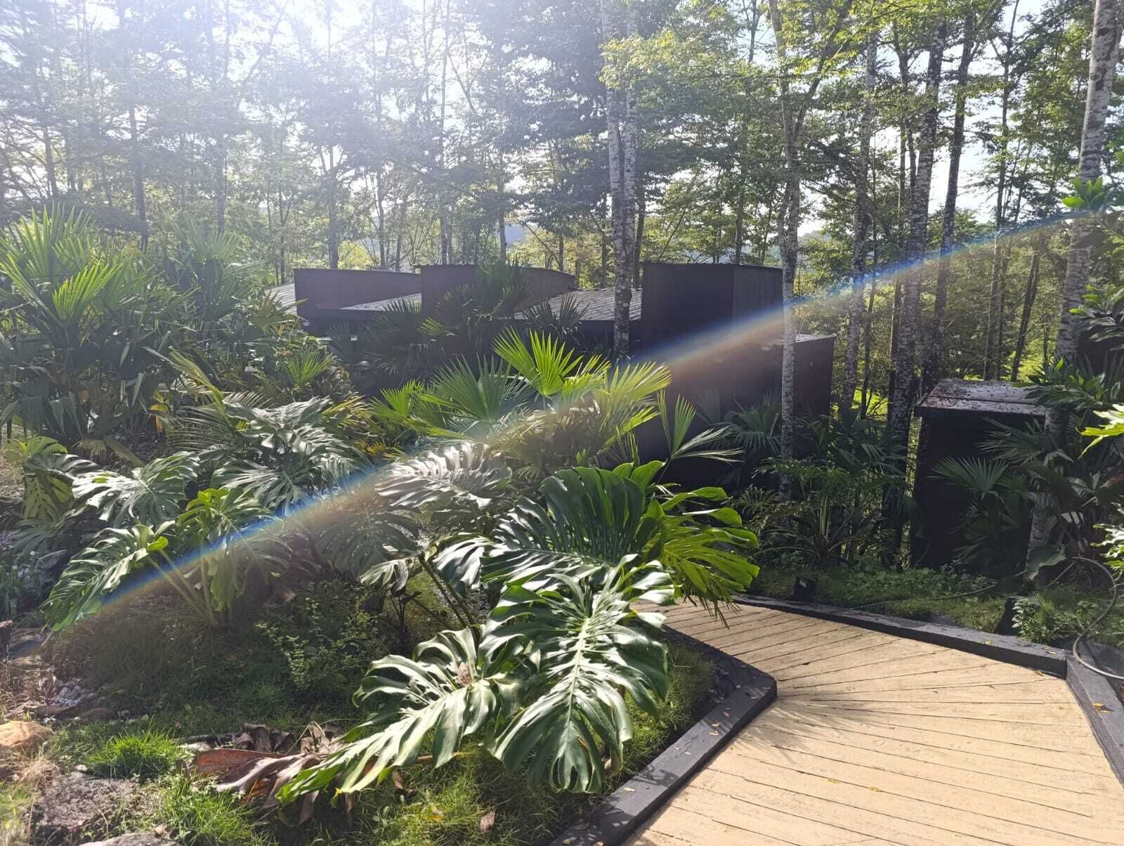 Ein Holzweg führt durch einen üppigen Garten mit verschiedenen tropischen Pflanzen und einer kleinen Struktur im Hintergrund.