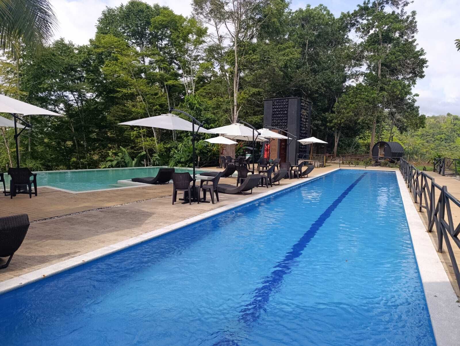 Una piscina con sillas de descanso y sombrillas, rodeada de árboles.