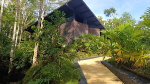 Un bâtiment moderne doté d’un toit en pente, entouré d’une végétation luxuriante et bordé d’un sentier en bois.