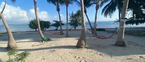Playa