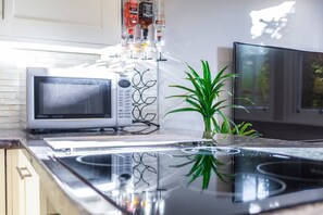 基础公寓 | 私人厨房 | 冰箱、微波炉、烤箱、炉灶