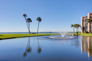 Stunning water feature surrounded by lush greenery and palm trees, set against a serene backdrop.