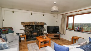 A cozy living room with a stone fireplace, a television, and a bookshelf by a window. - Blaenferwig (New Quay)