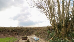 A wooden picnic table with a rustic setting, surrounded by a natural landscape with trees and a field. - Blaenferwig (New Quay)